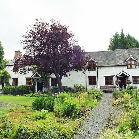 Glencoed B&B 렉섬 외부 사진