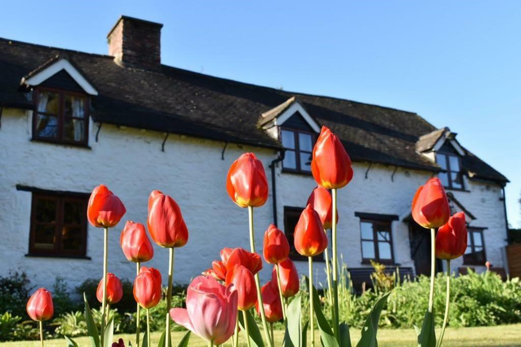 Glencoed B&B 렉섬 외부 사진